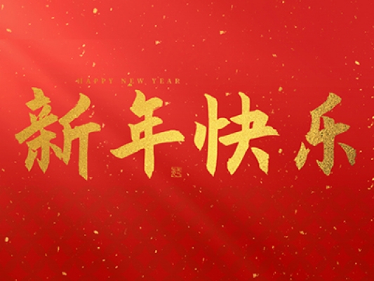浙江百茂板業(yè)有限公司祝大家2025新年快樂！